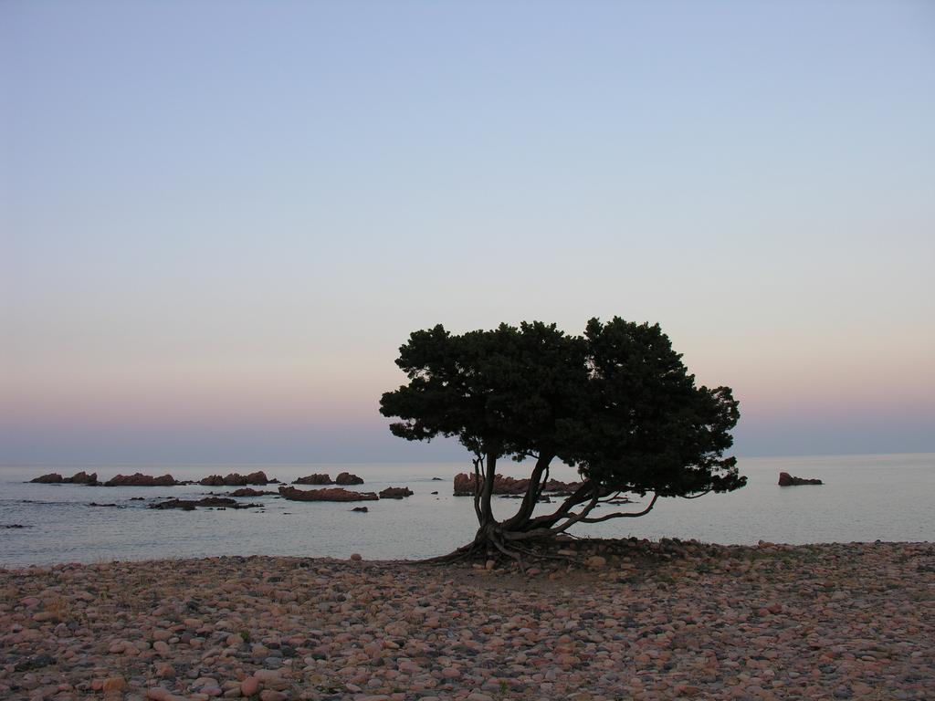 Agriturismo Chiai Francesco Bari Sardo Buitenkant foto