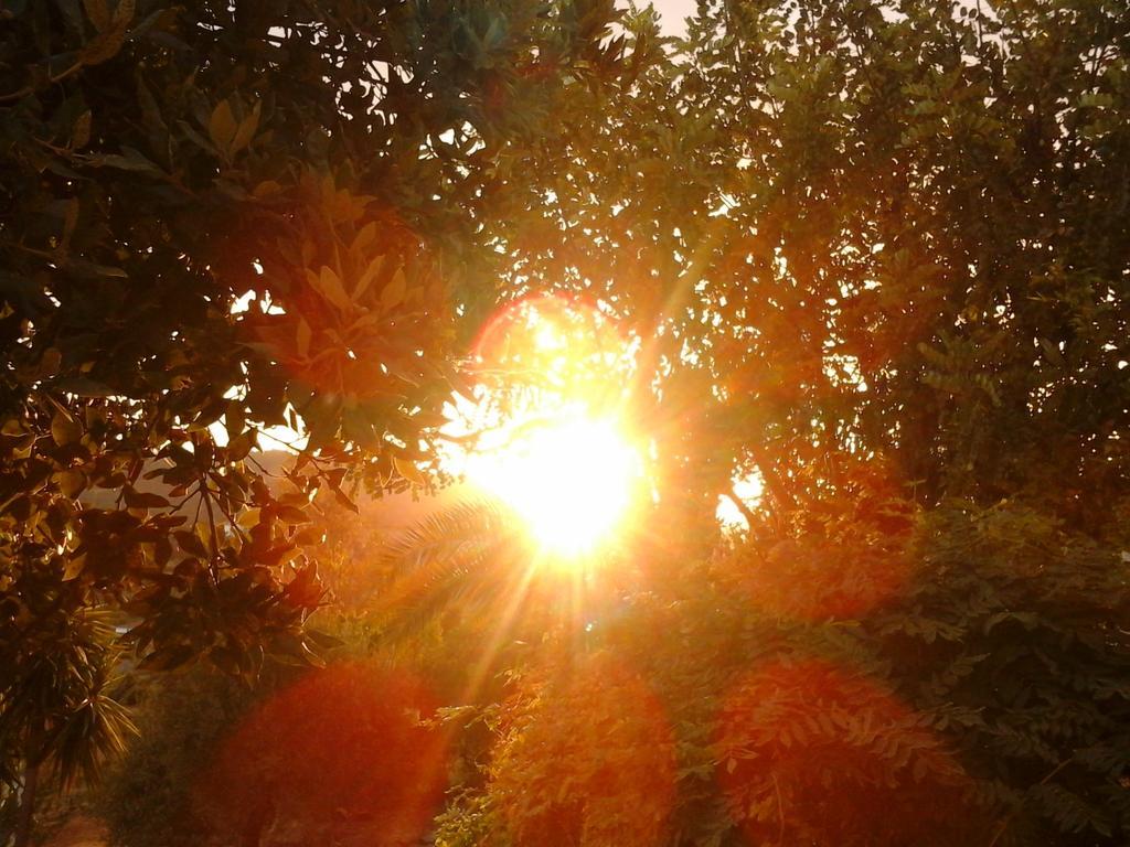 Agriturismo Chiai Francesco Bari Sardo Buitenkant foto